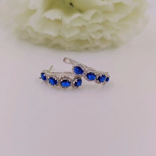 Oblong Hoop Silver 925s Earrings